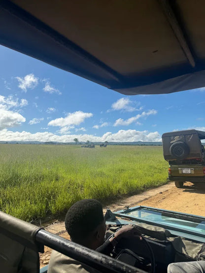 From Dar es Salaam: Safari privato di un giorno al Parco Nazionale di Mikumi