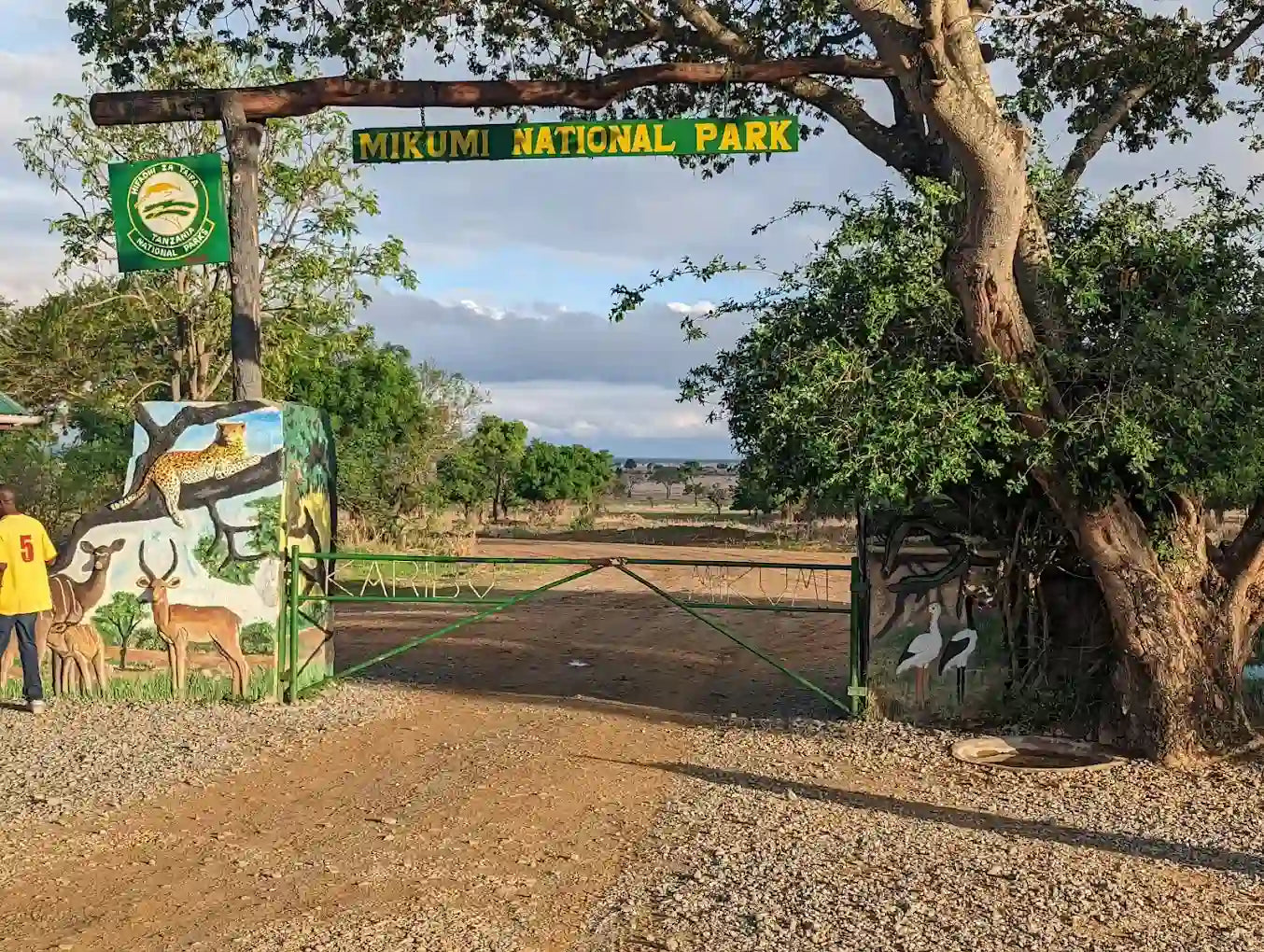 From Dar es Salaam: Safari privato di un giorno al Parco Nazionale di Mikumi