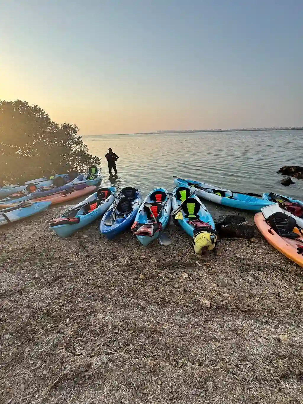 From Doha: Al Khor Purple Island Mangroves Kayaking Tour