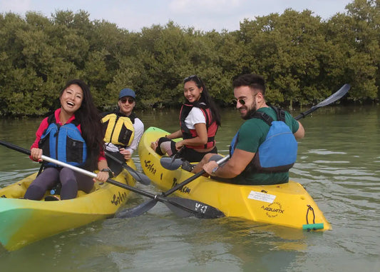 From Doha: Al Khor Purple Island Mangroves Kayaking Tour