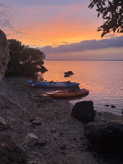 From Doha: Al Khor Purple Island Mangroves Kayaking Tour