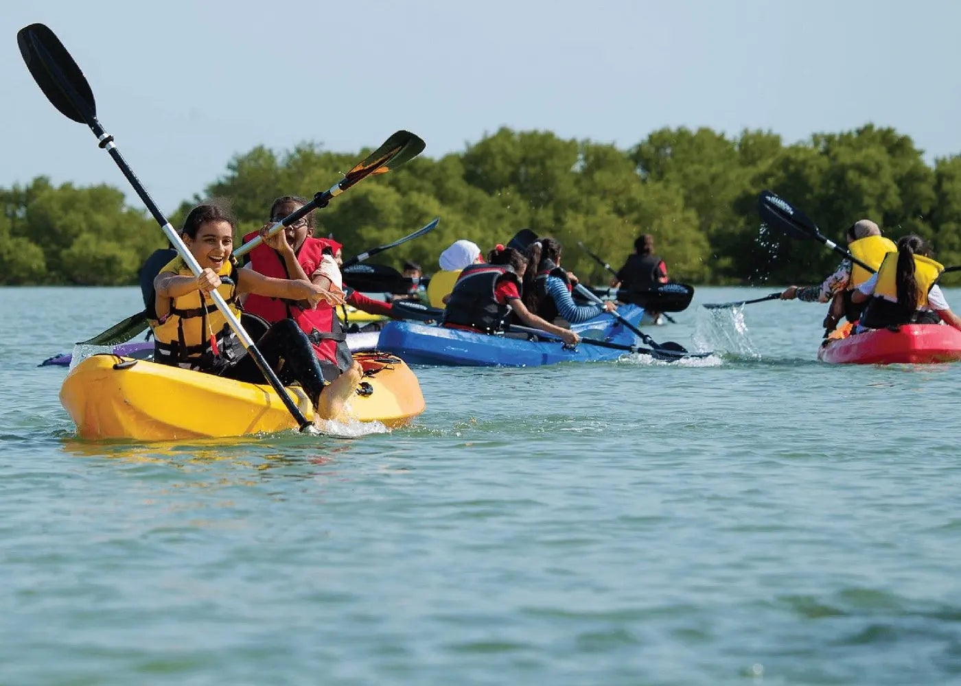 From Doha: Al Khor Purple Island Mangroves Kayaking Tour