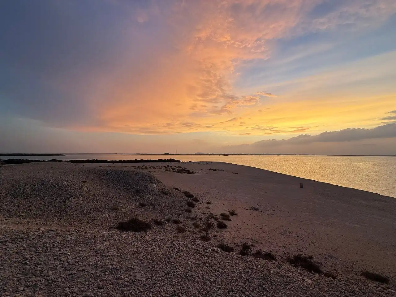 From Doha: Al Khor Purple Island Mangroves Kayaking Tour