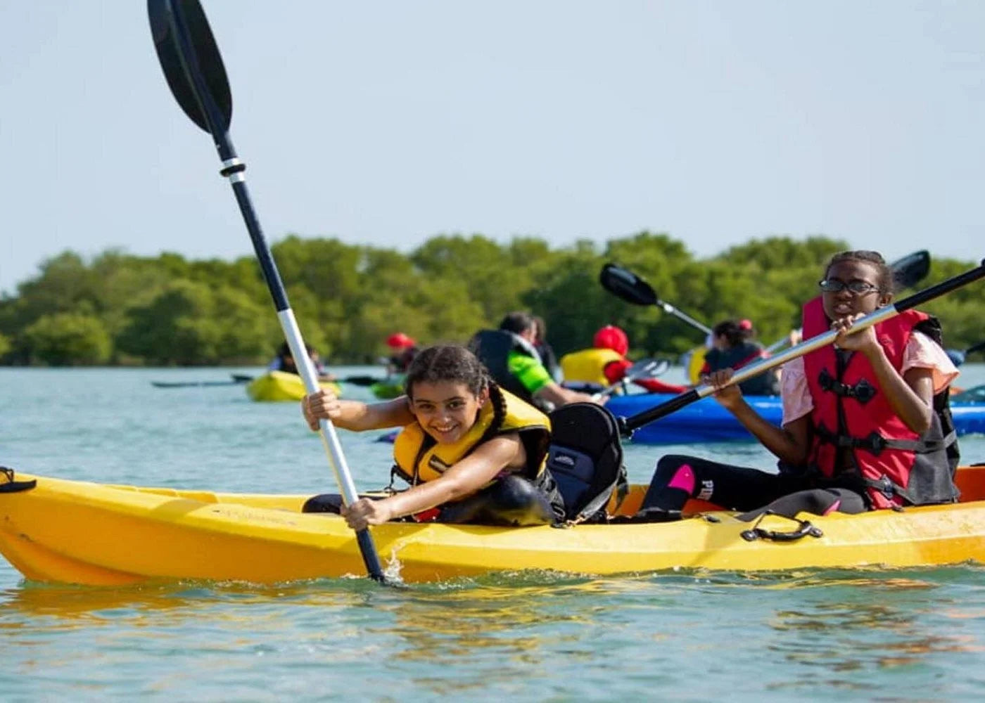 From Doha: Al Khor Purple Island Mangroves Kayaking Tour