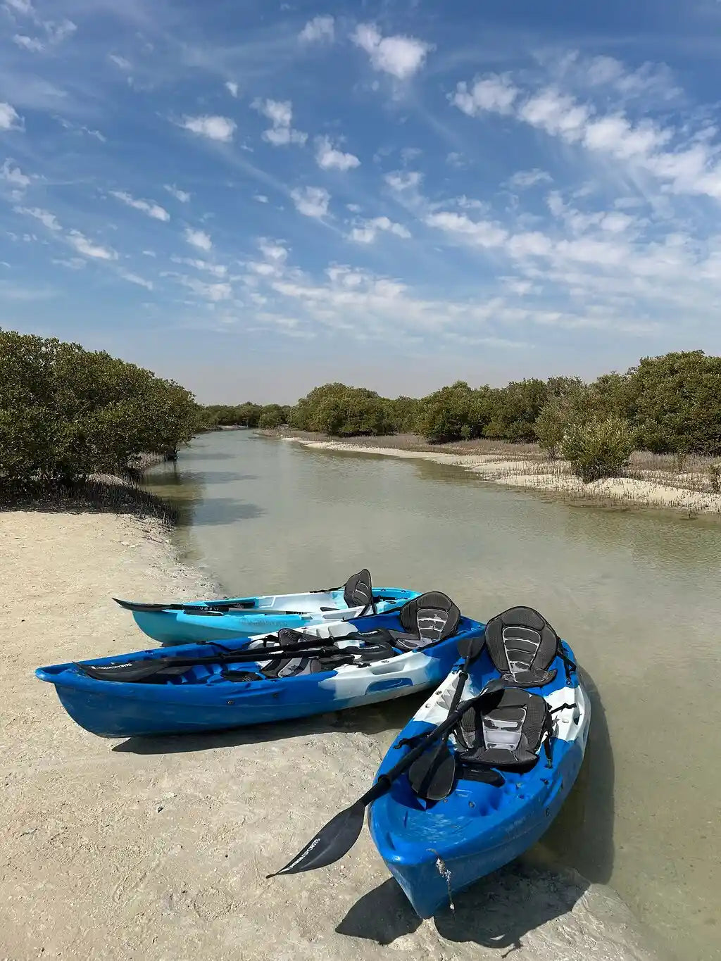 From Doha: Al Khor Purple Island Mangroves Kayaking Tour
