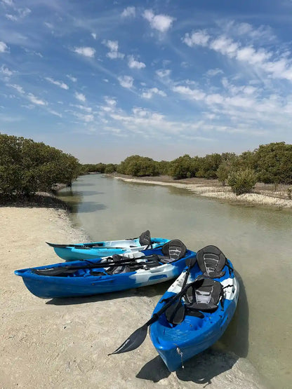 From Doha: Al Khor Purple Island Mangroves Kayaking Tour