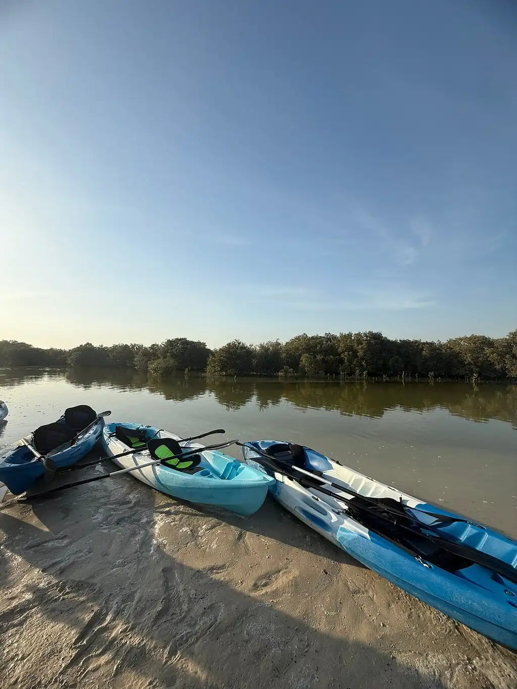 From Doha: Al Khor Purple Island Mangroves Kayaking Tour