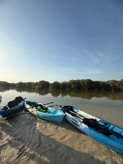 From Doha: Al Khor Purple Island Mangroves Kayaking Tour