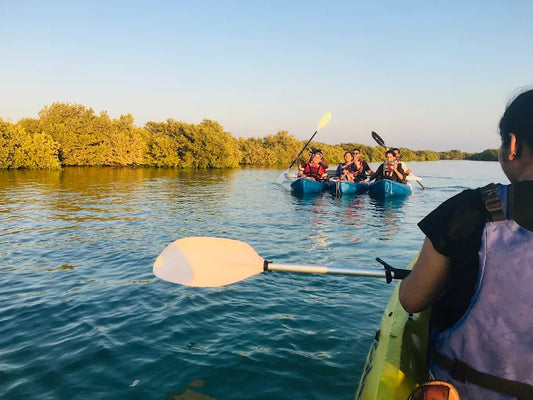 From Doha: Al Thakira Mangrove Forest Kayaking Tour