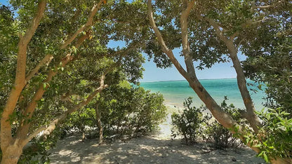 From Doha: Al Thakira Mangrove Forest Kayaking Tour