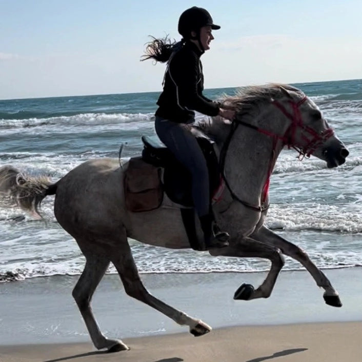 From Doha: Arabian Horse Riding Private Trip by Sea or Desert