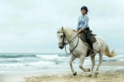From Doha: Arabian Horse Riding Private Trip by Sea or Desert
