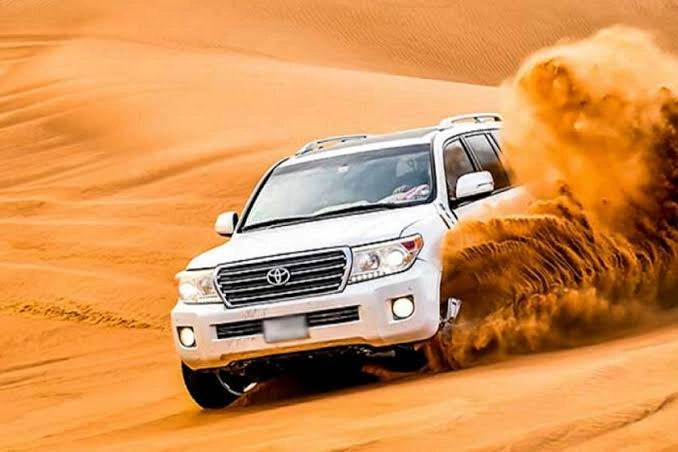 From Doha: Arabian Horse Riding Private Trip by Sea or Desert