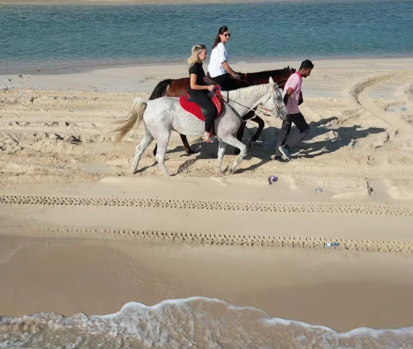 From Doha: Arabian Horse Riding Private Trip by Sea or Desert