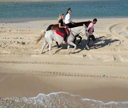 From Doha: Arabian Horse Riding Private Trip by Sea or Desert