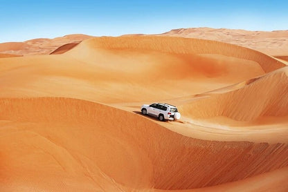 From Doha: Arabian Horse Riding Private Trip by Sea or Desert