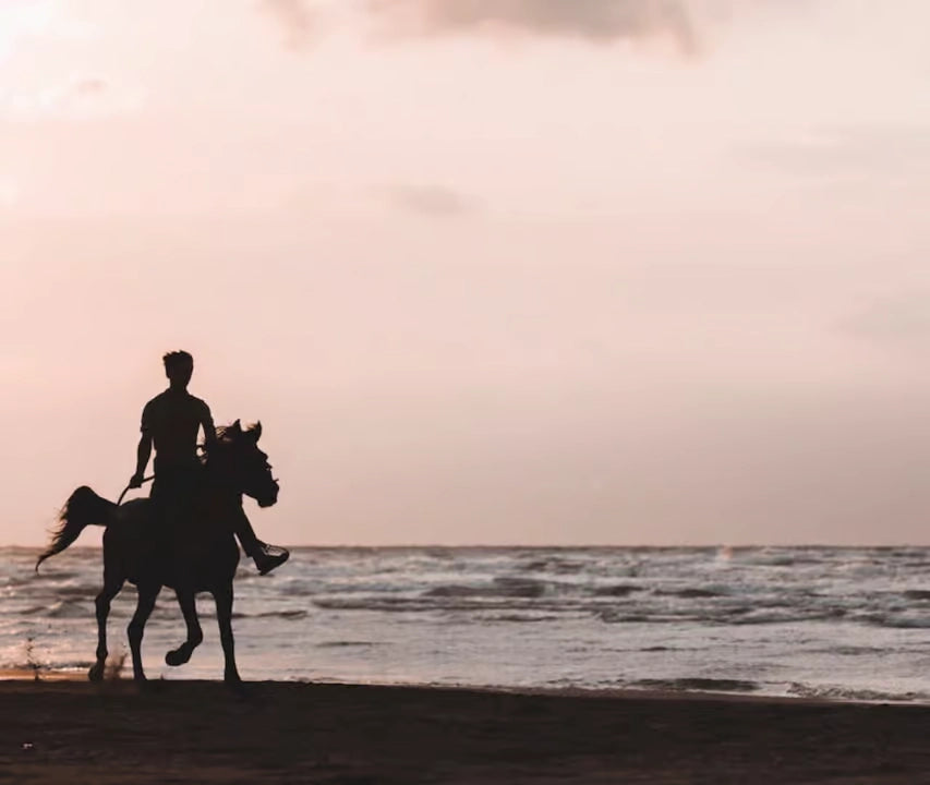 From Doha: Arabian Horse Riding Private Trip by Sea or Desert