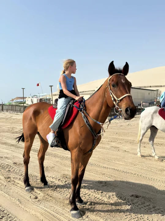From Doha: Arabian Horse Riding Private Trip by Sea or Desert