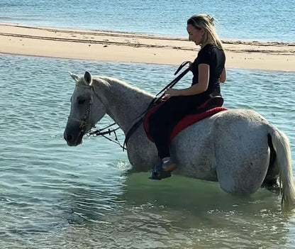 From Doha: Arabian Horse Riding Private Trip by Sea or Desert