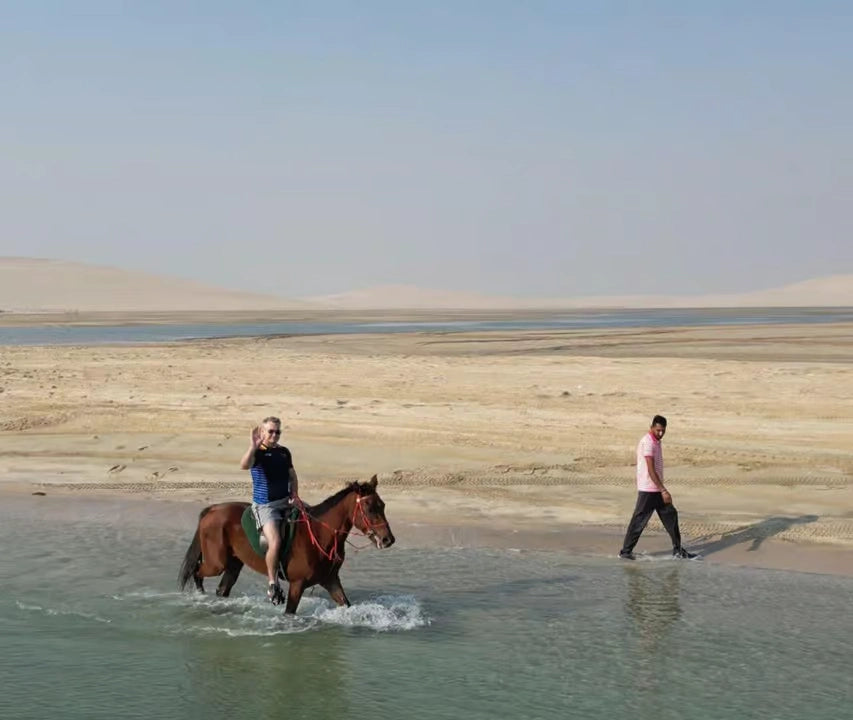 From Doha: Arabian Horse Riding Private Trip by Sea or Desert