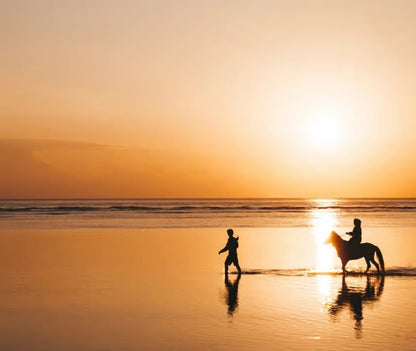 From Doha: Arabian Horse Riding Private Trip by Sea or Desert