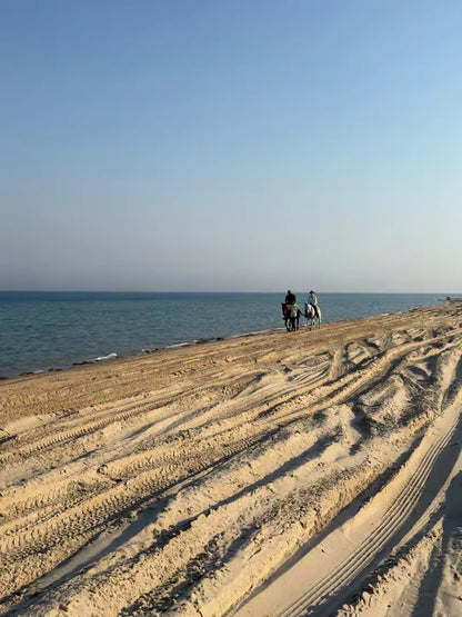 From Doha: Arabian Horse Riding Private Trip by Sea or Desert