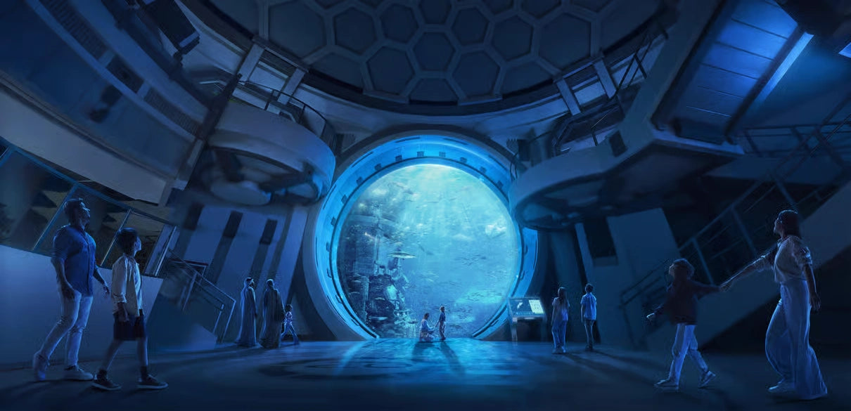 Fra Dubai: SeaWorld-opplevelse og Sheikh Zayed Grand Mosque-tur