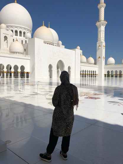 From Dubai: SeaWorld Experience and Sheikh Zayed Grand Mosque Tour