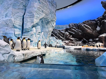 From Dubai: SeaWorld Experience and Sheikh Zayed Grand Mosque Tour