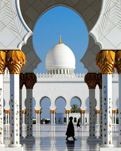 From Dubai: SeaWorld Experience and Sheikh Zayed Grand Mosque Tour