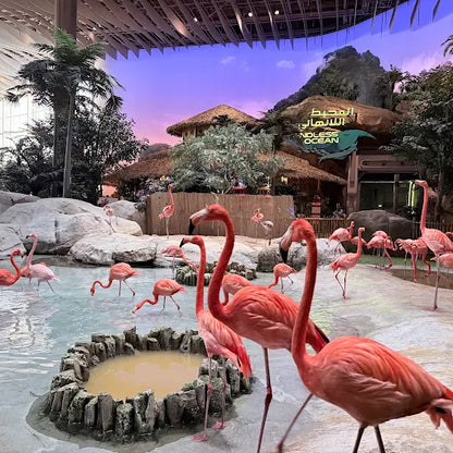 From Dubai: SeaWorld Experience and Sheikh Zayed Grand Mosque Tour
