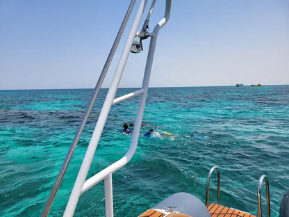 From 爱尔古纳出发：海豚之家浮潜游船之旅（含午餐）
