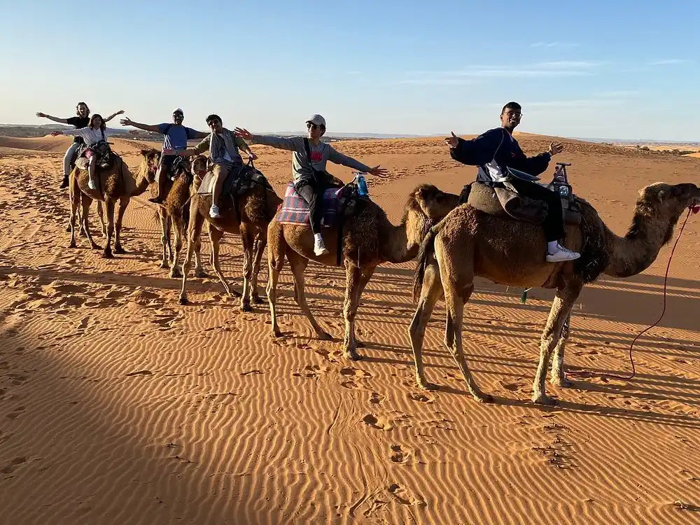 Från Fes: 2-dagars Saharaökentur via Ifrane och Merzouga