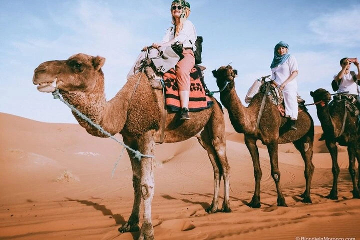Från Fes: 2-dagars Saharaökentur via Ifrane och Merzouga