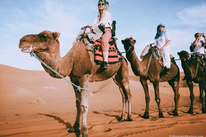 Från Fes: 2-dagars Saharaökentur via Ifrane och Merzouga