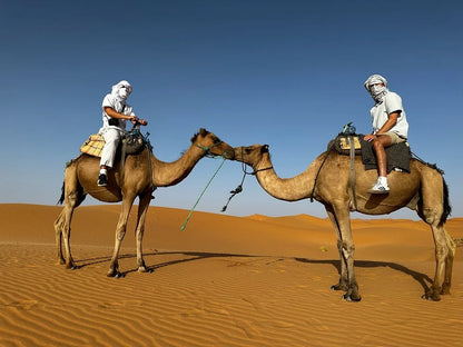 Från Fes: 2-dagars Saharaökentur via Ifrane och Merzouga