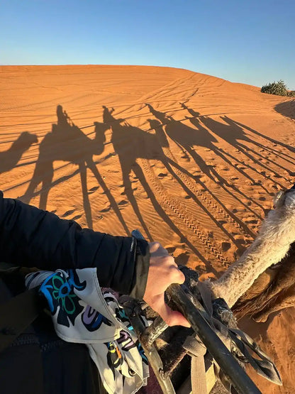 Från Fes: 2-dagars Saharaökentur via Ifrane och Merzouga