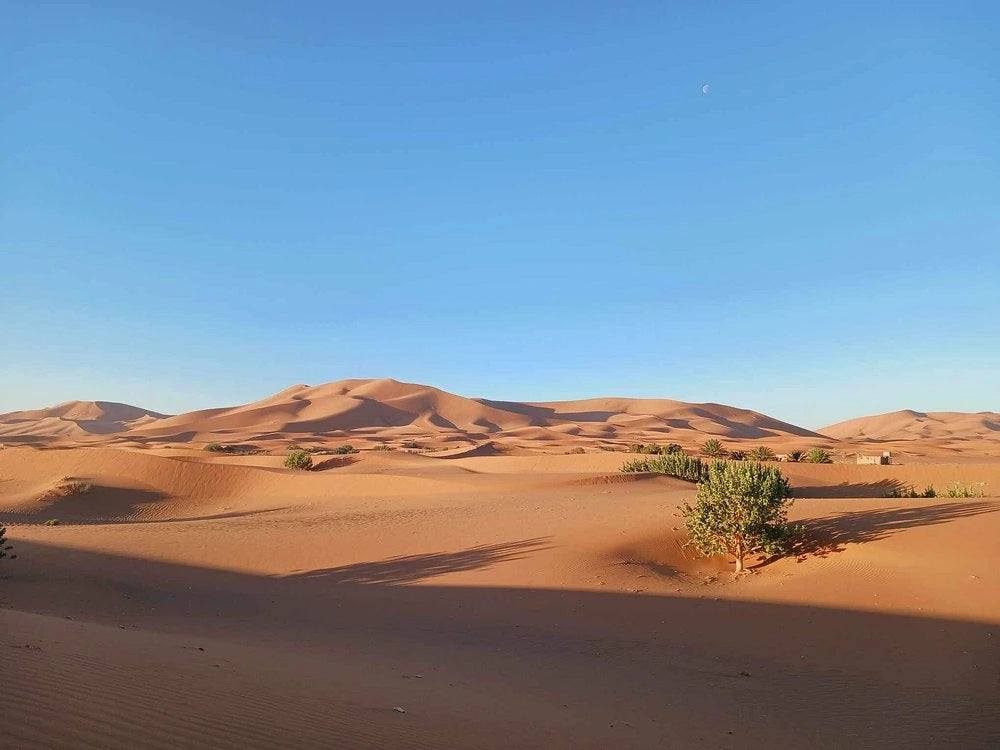 Från Fes: 2-dagars Saharaökentur via Ifrane och Merzouga
