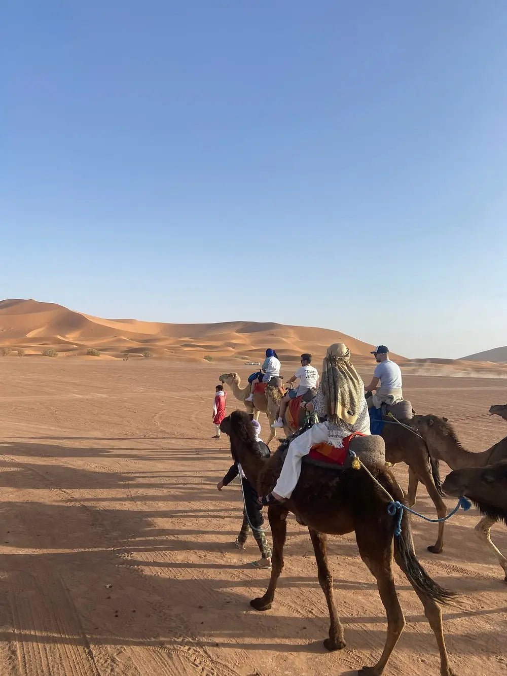 Från Fes: 2-dagars Saharaökentur via Ifrane och Merzouga