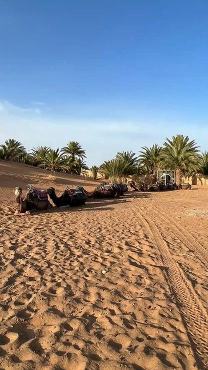 Från Fes: 2-dagars Saharaökentur via Ifrane och Merzouga