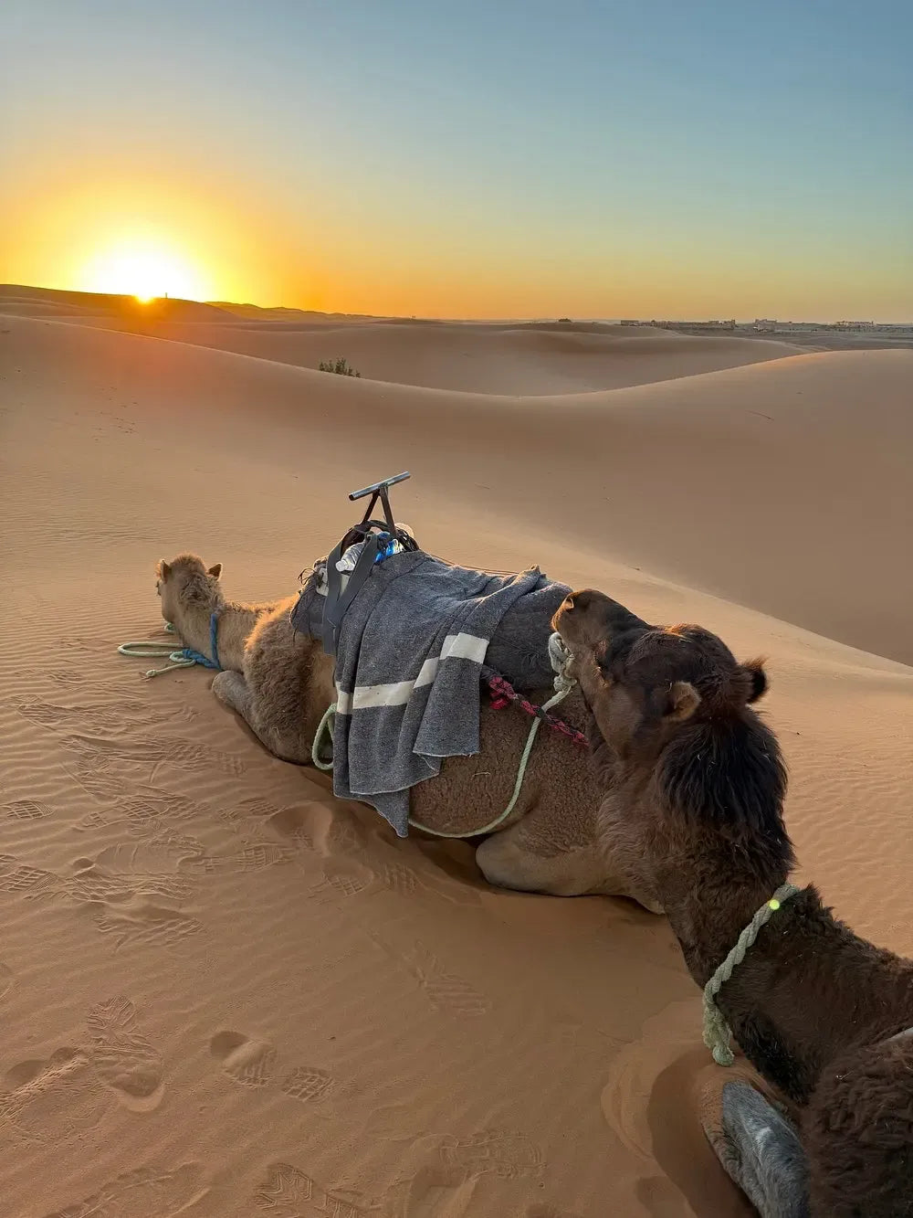 From Fès: 3-tägige Sahara-Tour nach Merzouga, Ouarzazate und Marrakesch