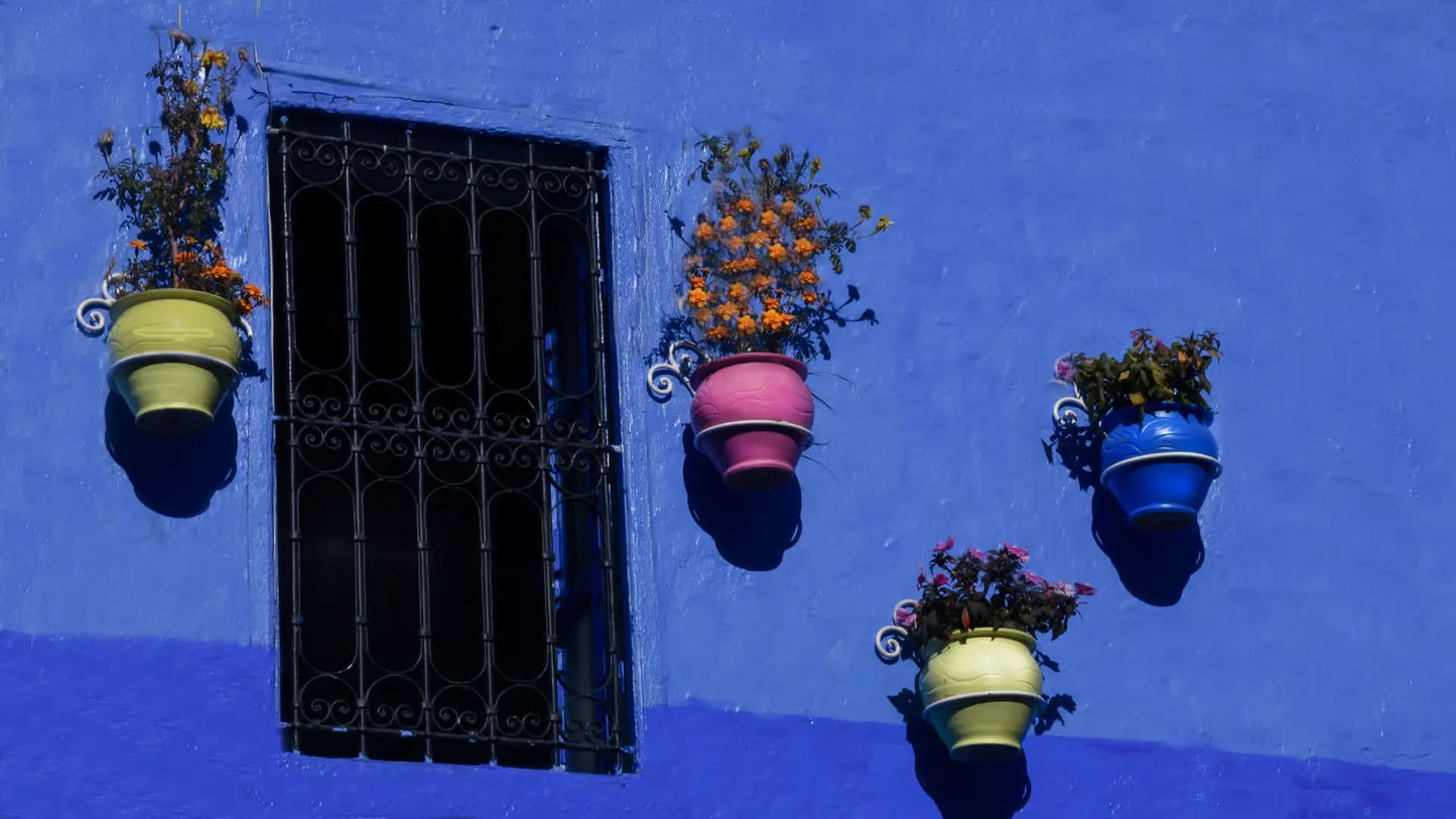 From Fès : excursion d’une journée à Chefchaouen, la ville bleue