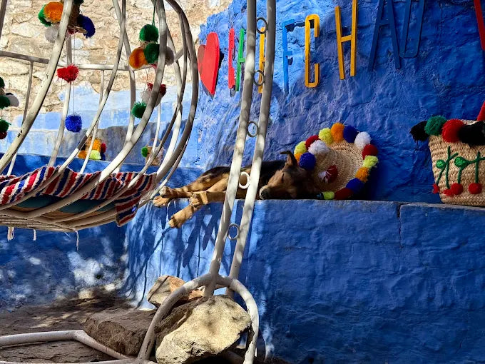 From Fès: Tagesausflug zur Stadtbesichtigung in Chefchaouen