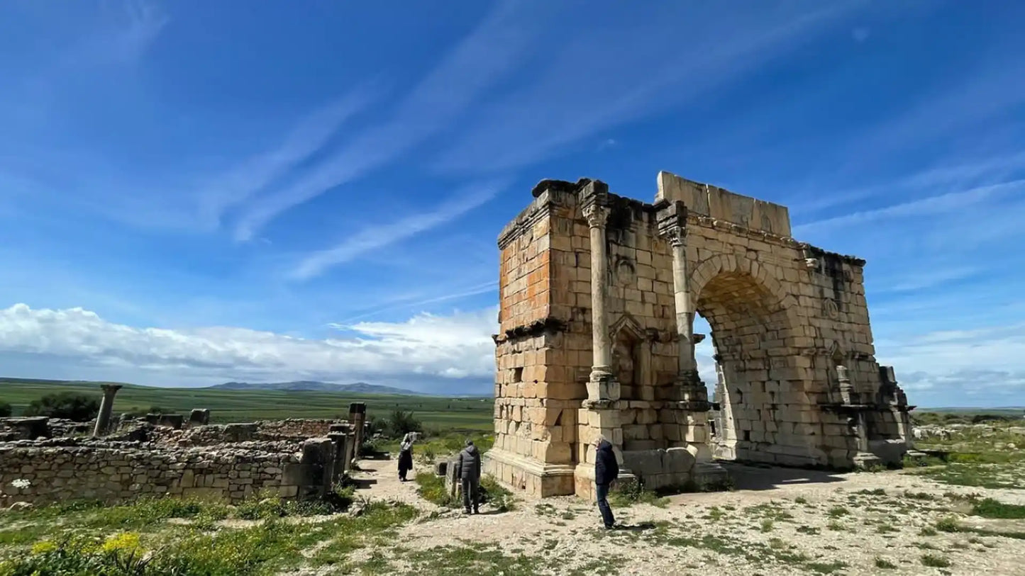 From Fès : excursion d’une journée à la ville impériale de Meknès, Volubilis et Moulay Idriss