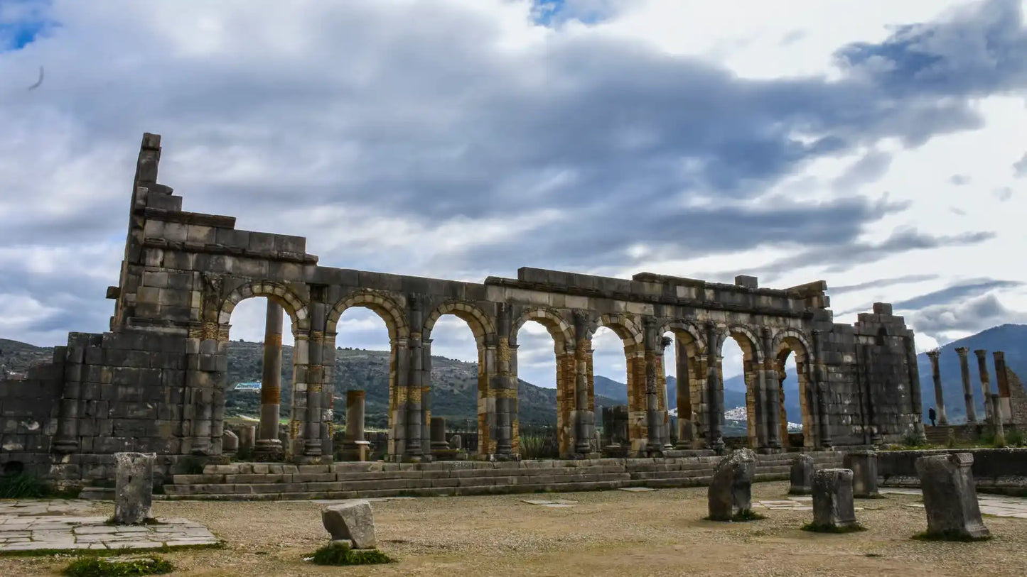 From Fès : excursion d’une journée à la ville impériale de Meknès, Volubilis et Moulay Idriss