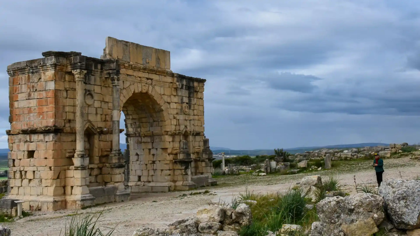 From Fès : excursion d’une journée à la ville impériale de Meknès, Volubilis et Moulay Idriss
