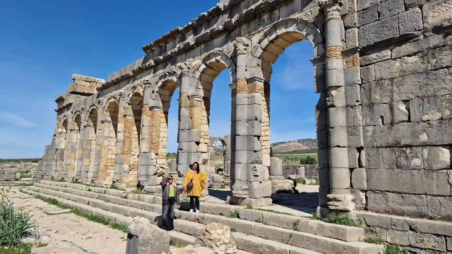 From Fès : excursion d’une journée à la ville impériale de Meknès, Volubilis et Moulay Idriss
