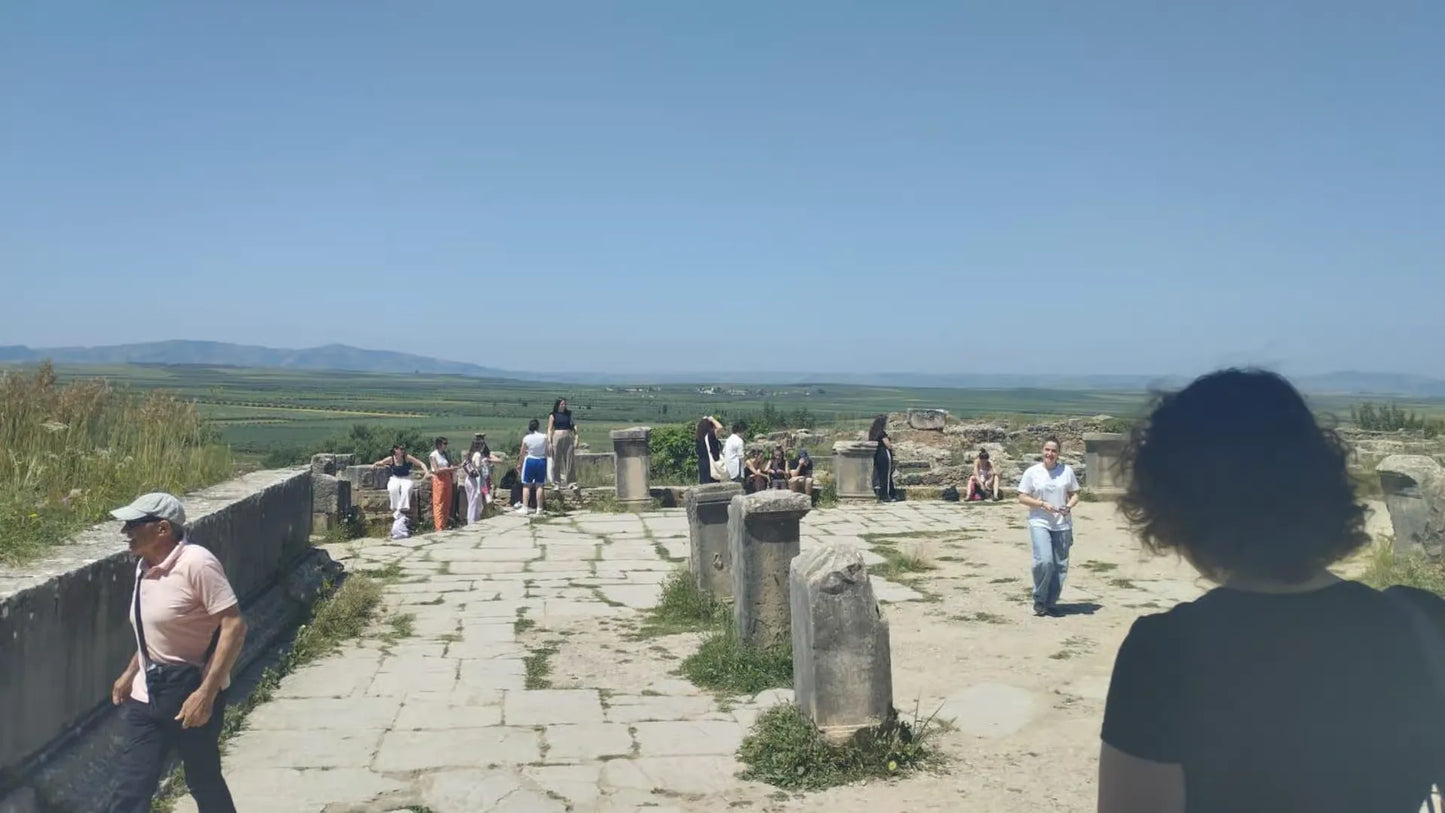 From Fès : excursion d’une journée à la ville impériale de Meknès, Volubilis et Moulay Idriss