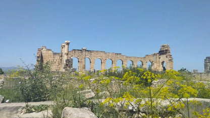 From Fès : excursion d’une journée à la ville impériale de Meknès, Volubilis et Moulay Idriss