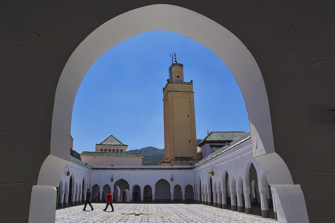 From Fès : excursion d’une journée à la ville impériale de Meknès, Volubilis et Moulay Idriss